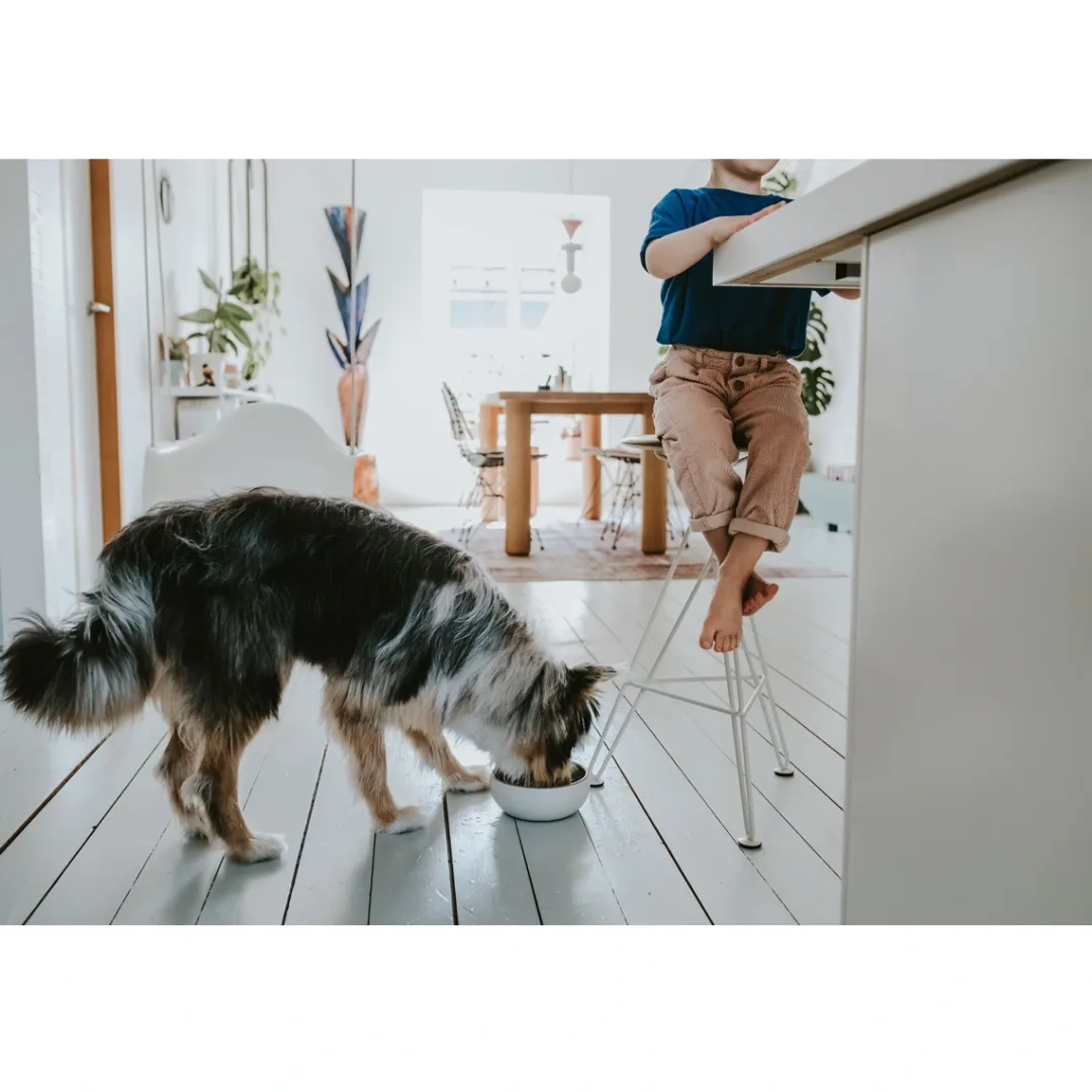 Hunter keramik Lund hunde skål 1500 ml Beige