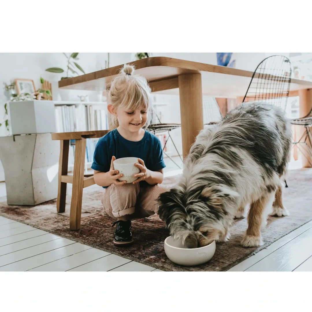 Hunter keramik Lund hunde skål 550 ml Beige