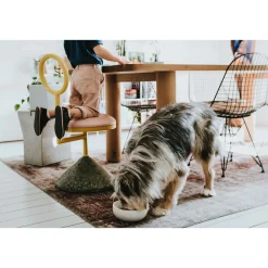 Hunter keramik Lund hunde skål 350 ml Beige
