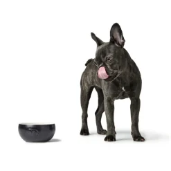 Hunter Keramik Lund Hunde Skål 550 ml Sort