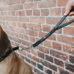 Hunter Kort Hundesnor Solid Education sort