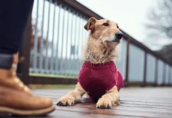 Hunter Malmø pullover strik bordeaux str. 30