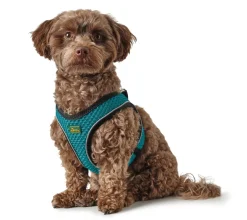 Hunter NY Hilo Comfort hundesele M-L turkis mave/bryst 65-70 cm - Let komfort og synlig pasform
