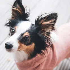 Hunter Röglatrøje 35 Rosa