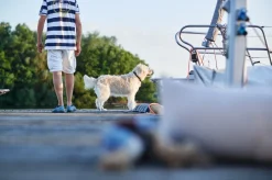 Hunter Sansibar Solid 65 Hundehalsbånd i læder - 52-59 cm