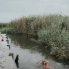 Hunter Svømmevest XL