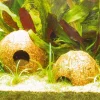 JBL Cocos Cava 1/2 hule i stor