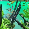 JBL ProNovo Bel fiskefoder 100 ml Flagefoder