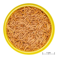 JBL ProNovo Betta Insektsticks S 100 ml