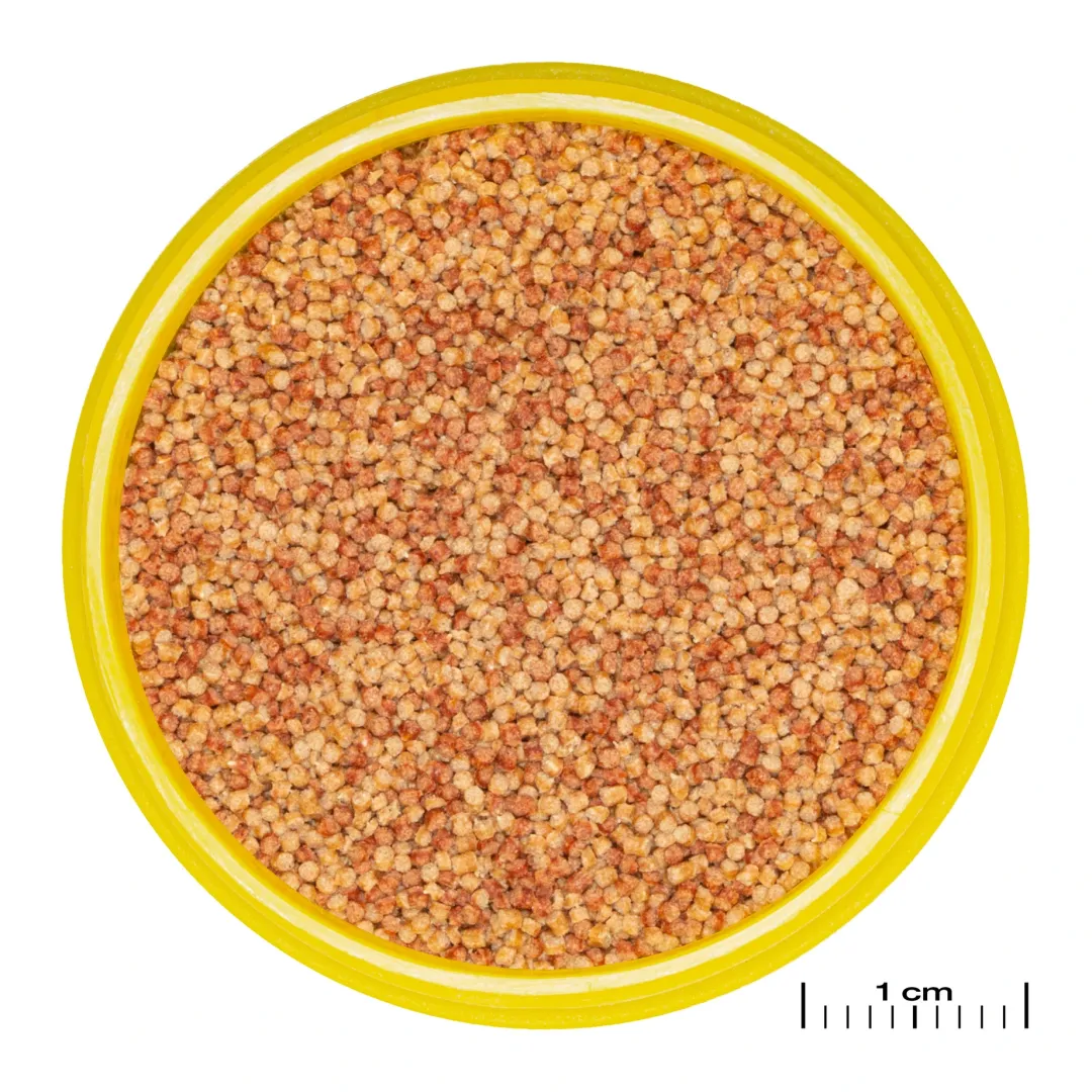 JBL ProNovo Color Grano S 100 ml