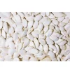 JR Farm Græskarkerner 125 g