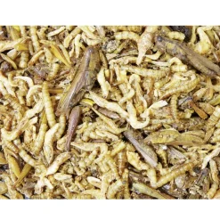 JR Farm Protein Cocktail DĂĄse 75 g