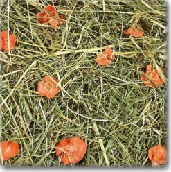 JR Farm JR Gulerodseng 500 g