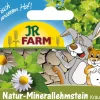 JR Farm JR Lersten med blomster