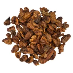 JR Farm JR Silkeorm 40 g