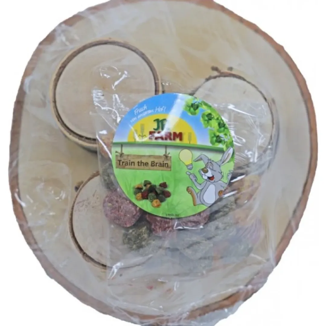 JR Farm JR Train the Brain Forest