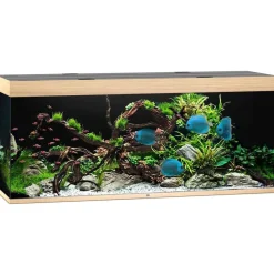 Juwel Akvarium Led Rio 450 Eg 151x51x66 cm 450 L