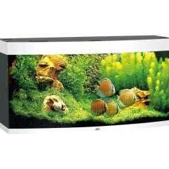 Juwel Akvarium Juwel Aquarium VISION 260 LED Hvid
