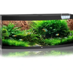 Juwel Akvarium Juwel Aquarium VISION 450 LED Sort