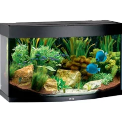 Juwel Akvarium Juwel Aquarium VISION 180 Sort