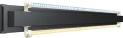 Juwel Akvarium Juwel LEDrørsholder Multilux LED Light 55 cm 2x12 Watt
