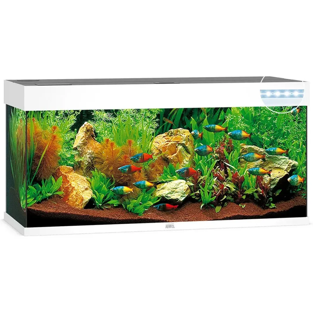Juwel Akvarium Juwel Rio 240 L Hvid 121x41x55 cm