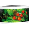 Juwel Akvarium Juwel Trigon 350 Hvidt Akvarium