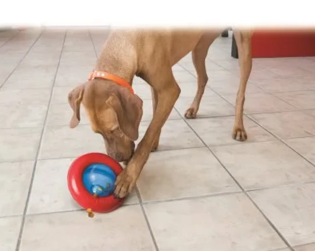 Kong Gyro Small Ø12,7x7,5 cm - snackbold til små hunde