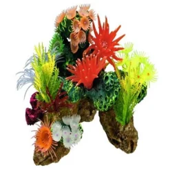 Nobby Koral sten 19 x 15 x 15 cm