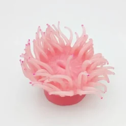 Blau - Aquaristic Kunstig koral Heteractis crispa M (Pink)