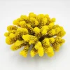 Blau - Aquaristic Kunstig koral Pocillopora verrucosa L (Yellow)