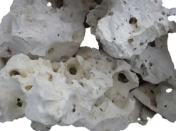 Dekoration til Akvarier og Terrarier Mactan hulsten pr kg