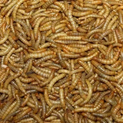 MiniZoo Melorme Tørret 200 Gram