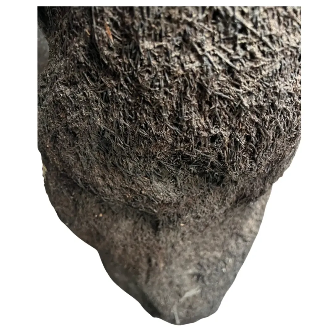 MiniZoo .dk Xaxim Træstamme Ø 30-40 cm XXL ca 1 meter