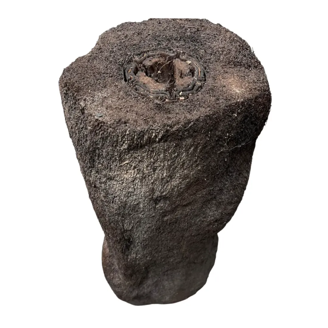 MiniZoo .dk Xaxim Træstamme Ø 30-40 cm XXL ca 1 meter