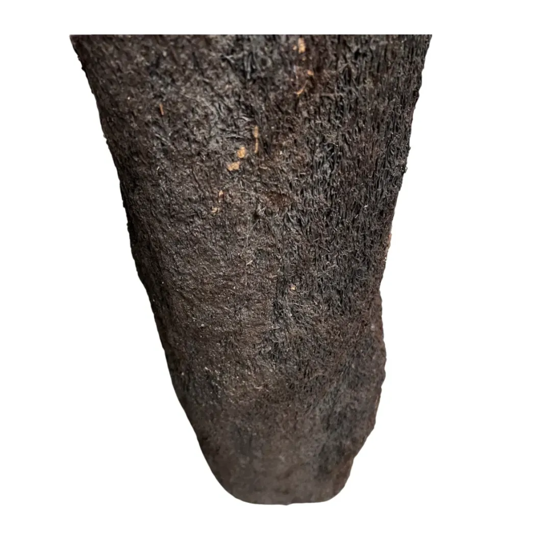 MiniZoo .dk Xaxim Træstamme Ø 30-40 cm XXL ca 1 meter