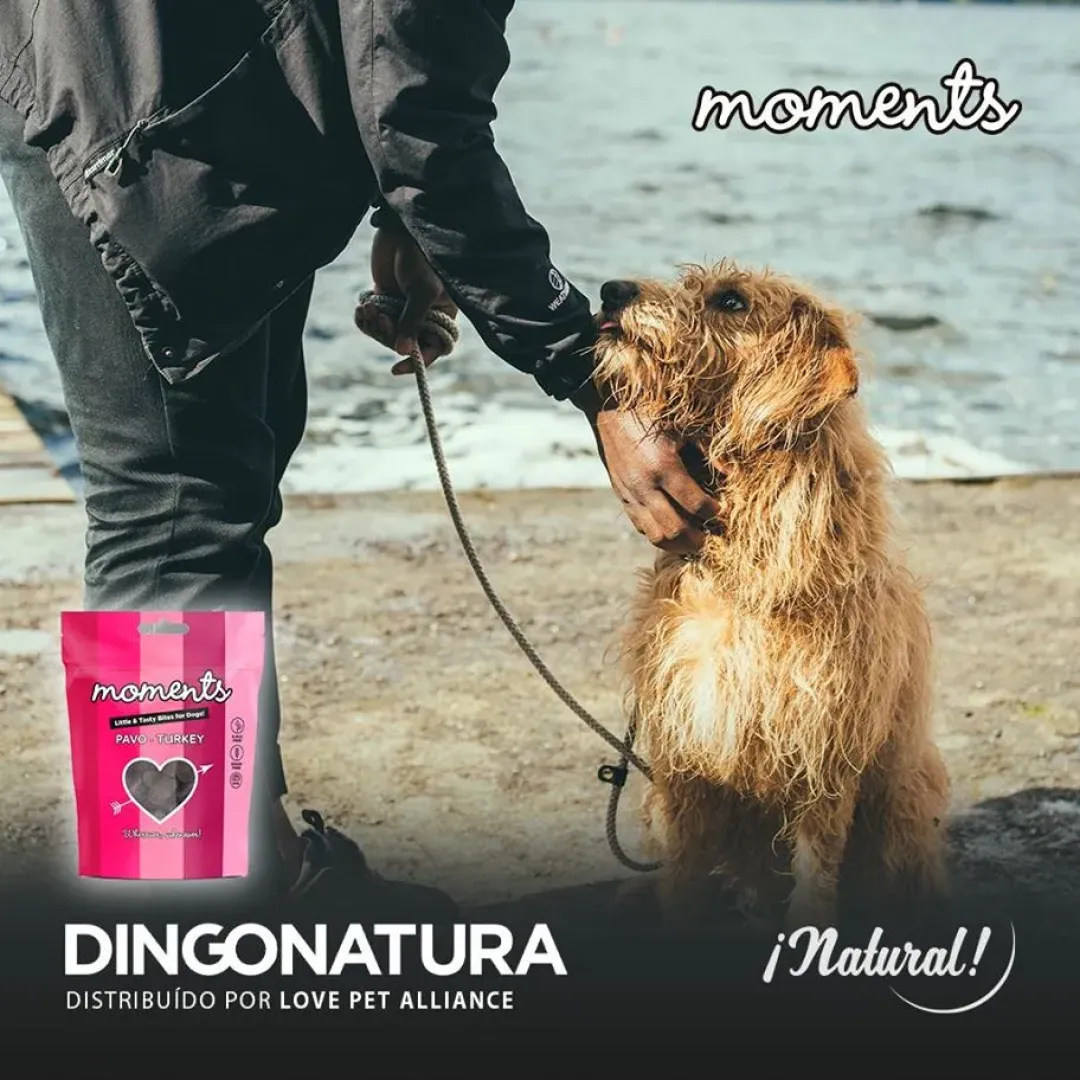 Natura Diet Super premium Hunde & kattefoder Moments hundesnack Kalkun 60 g - naturlige hundegodbidder