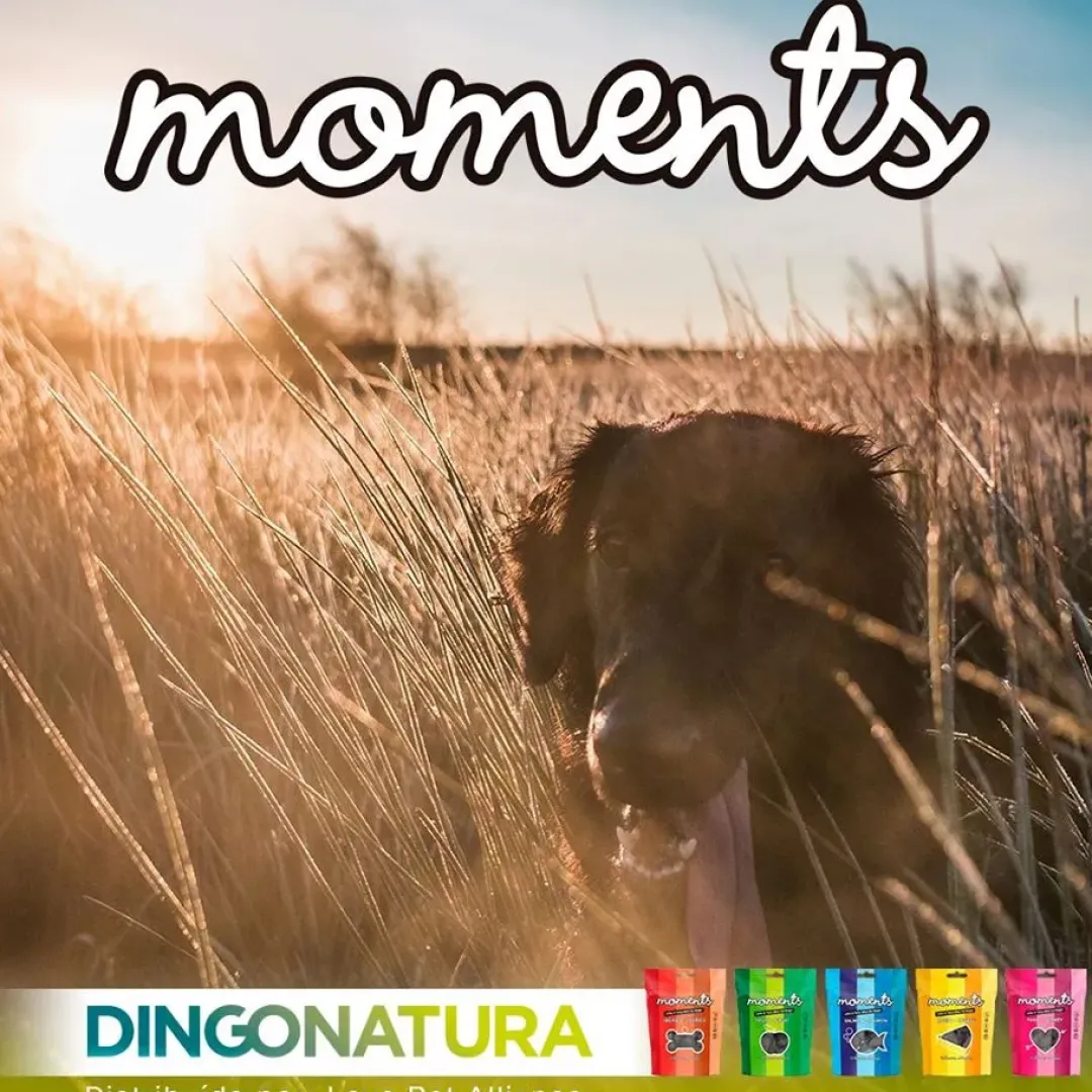 Natura Diet Super premium Hunde & kattefoder Moments hundesnack Kylling og Ost 60 g - naturlige hundegodbidder