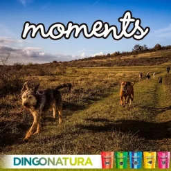 Natura Diet Super premium Hunde & kattefoder Moments hundesnack Puppy 60 g - blød træning til hvalpe