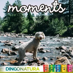 Natura Diet Super premium Hunde & kattefoder Moments hundesnack Puppy 60 g - blød træning til hvalpe
