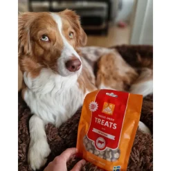 MUSH Treat Kylling 55 g - naturlige godbidder til hunde