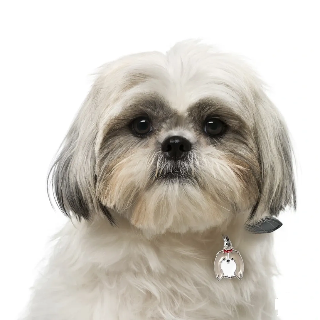 My Family Hundetegn Friends Shih Tzu Grå