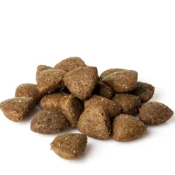 Natura Diet Super premium Hunde & kattefoder Natura Diet Fisk og ris hundefoder 12 kg - Skånsomt og naturligt