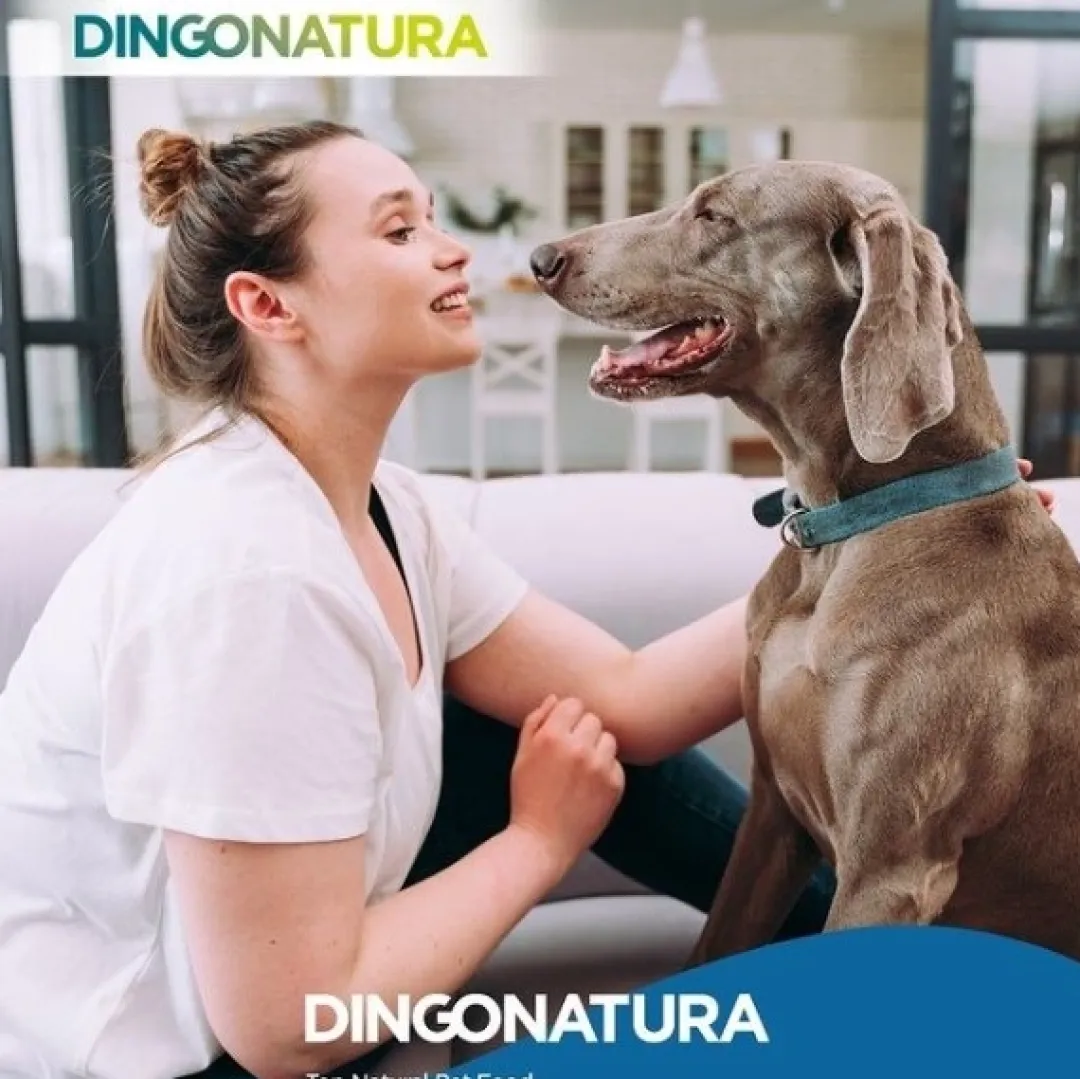 Natura Diet Super premium Hunde & kattefoder Natura Diet Hundefoder Senior +7 12 kg - komplet tørfoder til ældre hunde