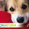 Natura Diet Super premium Hunde & kattefoder Natura Diet Hundefoder 4 x de bedste varianter