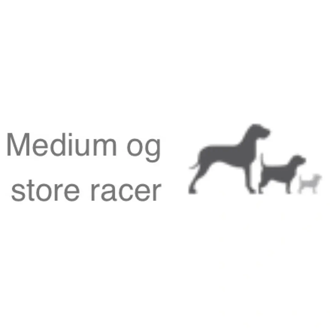 Natura Diet Super premium Hunde & kattefoder Natura Diet Lam og Ris Hundefoder 12 kg - Sundt foder