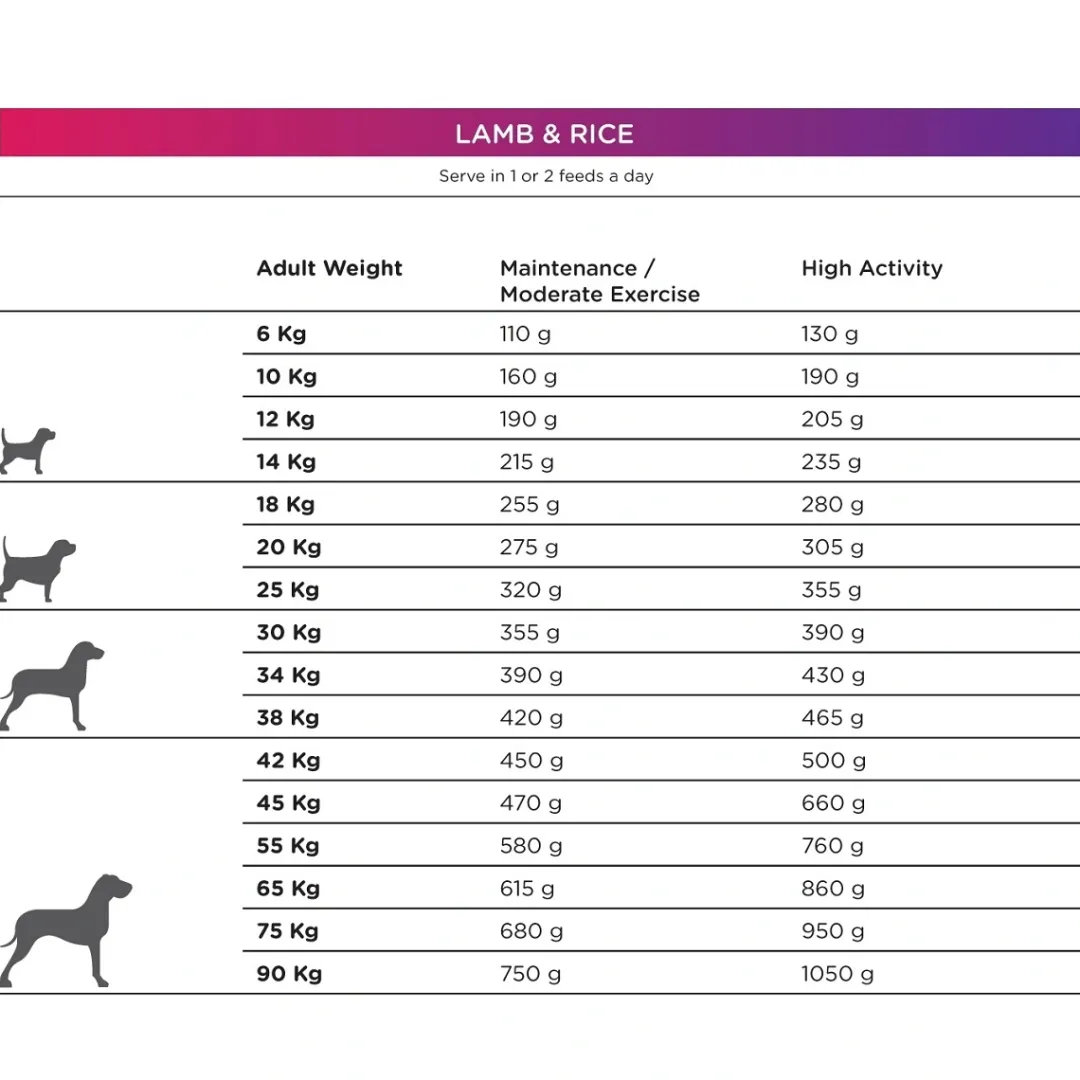 Natura Diet Super premium Hunde & kattefoder Natura Diet Lam og Ris Hundefoder 12 kg - Sundt foder