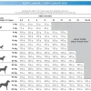 Natura Diet Super premium Hunde & kattefoder Natura Diet Puppy Junior Hvalpepakke 10 x 500 g