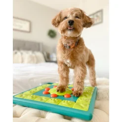 Nina Ottosson Multipuzzle Niveau 4 - udfordrende aktivitetslegetøj til hunde