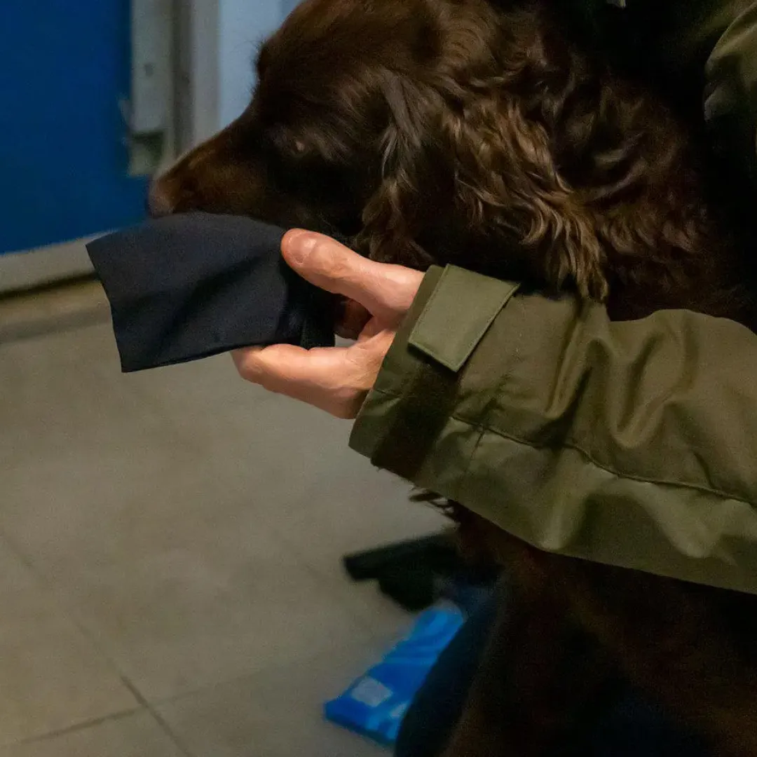 Ozami hundesokker XXS sort - beskytter små poter
